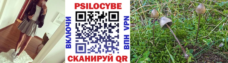 наркотики  Гудермес  Галлюциногенные грибы GOLDEN TEACHER 